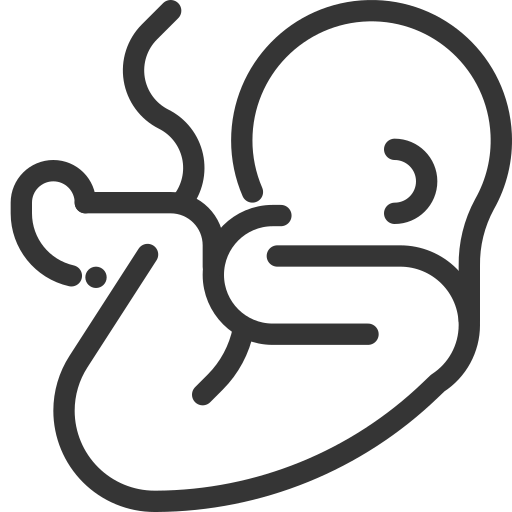 Naissance